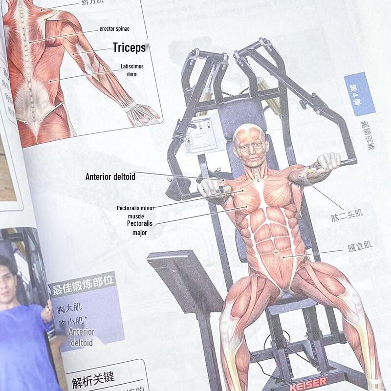 Human Movement & Gym Fitness Color Anatomy Atlas