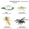 Frog Life Cycle Model Set: Tadpole to Frog Educational Toys for Kids