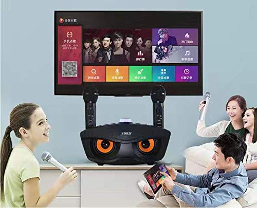 KOKO Bluetooth Karaoke Microphone Wireless Microphone System 2 Handheld Microphones AUX TF Card U Disk Portable Speaker Home KTV Black