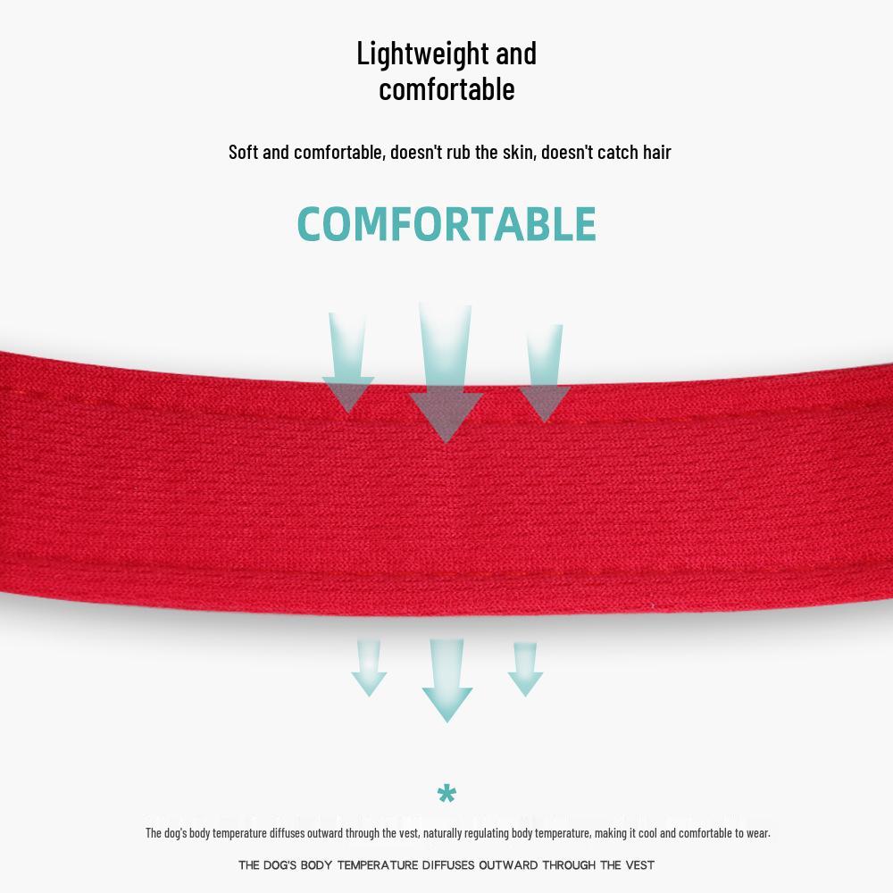 Adjustable Vest Dog Harness and Leash Set for Small to Medium Breeds - Corgi, Shiba Inu, French Bulldog