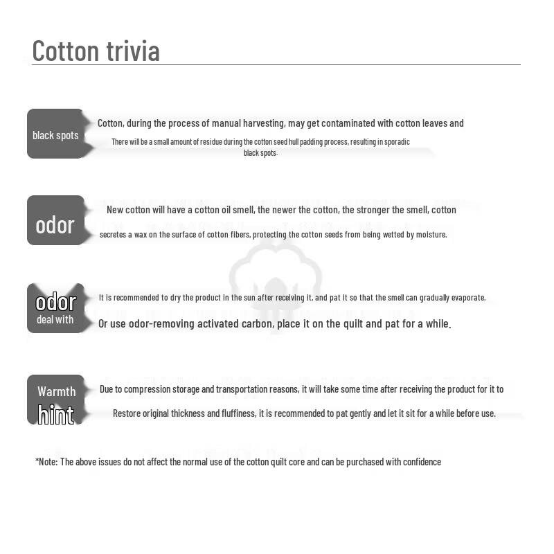 Fuanna 100% Xinjiang Cotton Winter Quilt