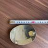 Used Western Belt Buckle Cowboy Horse