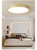 Nordic LED Ceiling Light, Super Bright & Eye-Protecting for Bedroom, Study, or Balcony