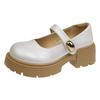 Platform Mary Jane single shoes women's autumn 2025 new muffin small man fashionable versatile word with small leather shoes