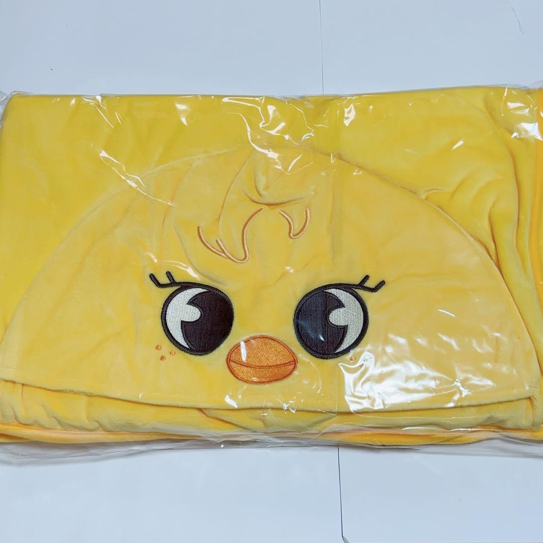 

[USED] StrayKids SKZOO Felix Pogari Blanket