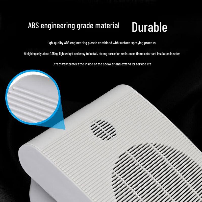 TAKSTAR MG-620W High-Fidelity Wall-Mounted Speaker (CN version)