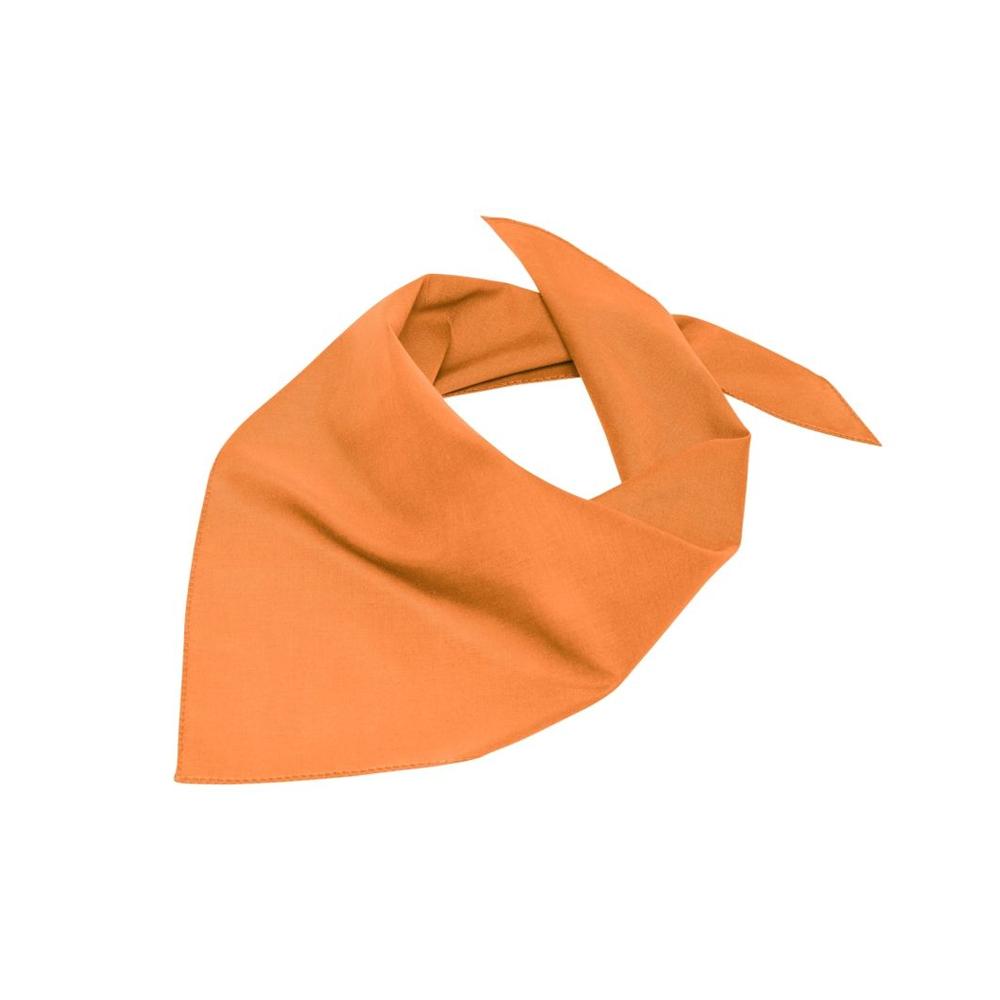 Myrtle Beach Triangular Scarf