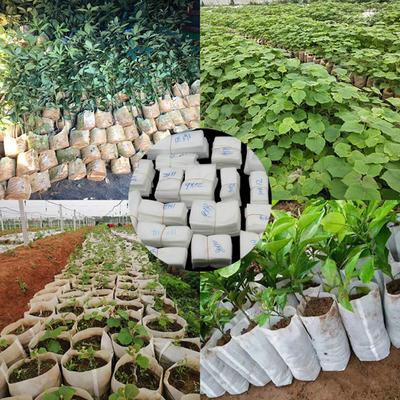 Growing Bag Small Size Large Capacity Portable Gardening Bag Degradable Nursery Bag Planting Bag for Flowers