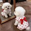Sun Protection Lace Off-Shoulder Dress Thin Dog Princes Dress Flower Print  Princess Skirt Anti-Static Puffy Skirt Small D...