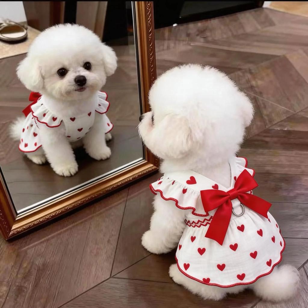 Sun Protection Lace Off-Shoulder Dress Thin Dog Princes Dress Flower Print Princess Skirt Anti-Static Puffy Skirt Small D...
