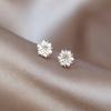 S925 Silver Plated Snowflake Earrings - Small & Sophisticated Studs, Premium Quality Fashion Jewelry for Women, Elegant Winter Gift