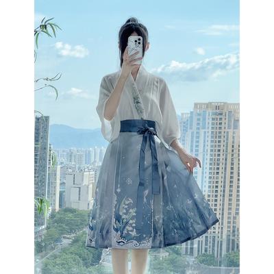 Chinese Song Dynasty Style Hanfu For Women Pleated Skirt Daily Set Spring And Autumn