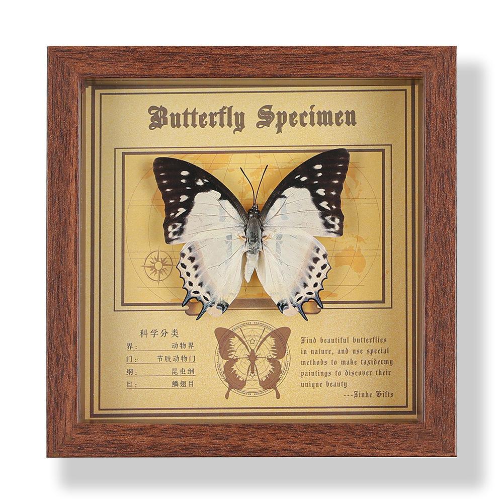 Real butterfly specimen photo frame, decorative painting, 3D ornament, handmade DIY, birthday gift, insect specimen