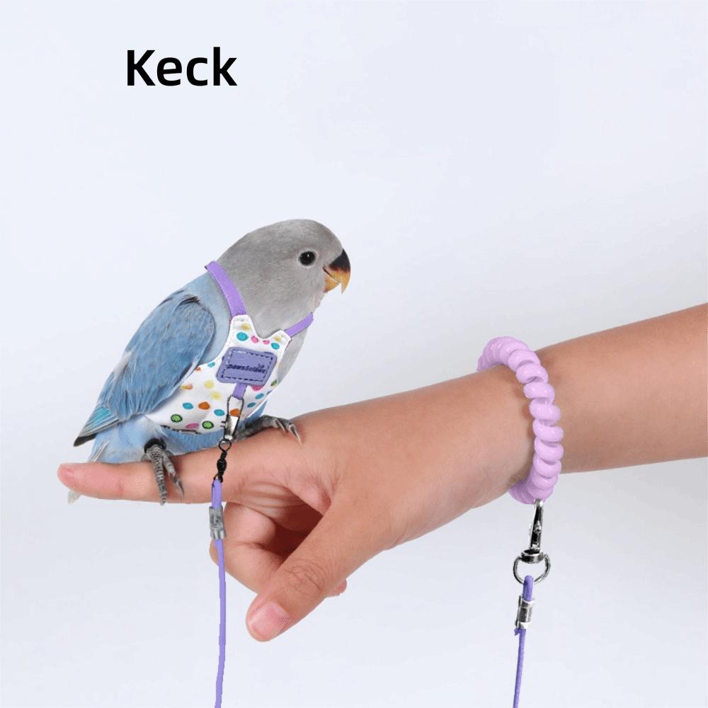 Adjustable Parrot Flying Harness Anti-Bite Parrot Flight Harness Bird Flight Suit  Small Parrots