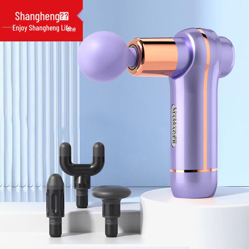 Shangheng Mini Percussion Massage Gun CN plug (adapter included)