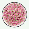 Loom Rubber Bands Refill Kit Premium Bracelet Making Kit for Kids Weaving DIY Crafting Toys Christmas Gift Children Toys