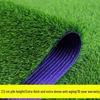 Artificial Grass Carpet for Kindergarten, Football Field, Outdoor Balcony, and Lawn Decoration