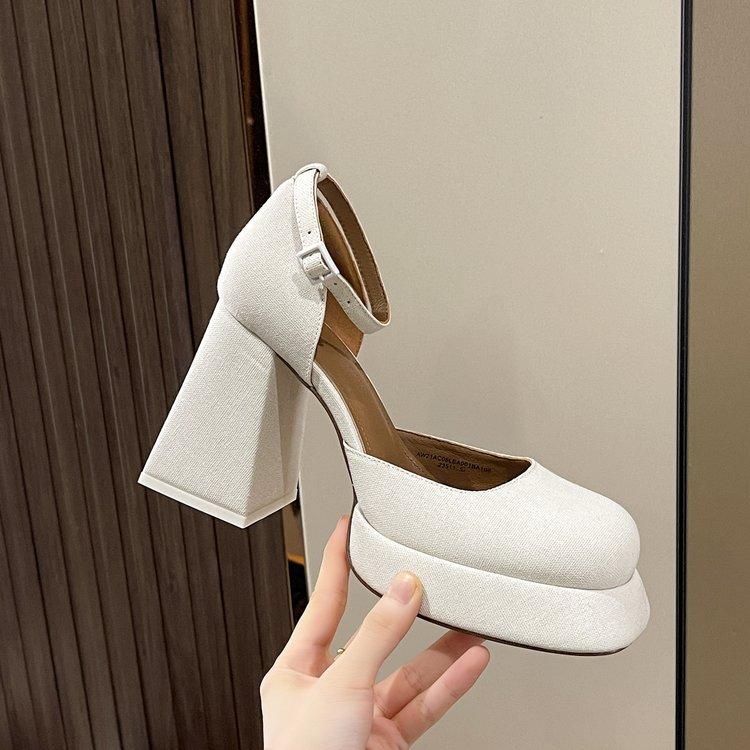 Fashion Retro square toe Mary Jane shoes embroidered thick heels thick waterproof platform buckle strap high heels single shoes