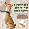 BLIVORRA-Hands-Free Dog Leash for 2 Dogs – Dual Bungee with Waist Belt, Pouch & Padded Handles – Tangle-Free, Shock Absorbing Leash for Walking,