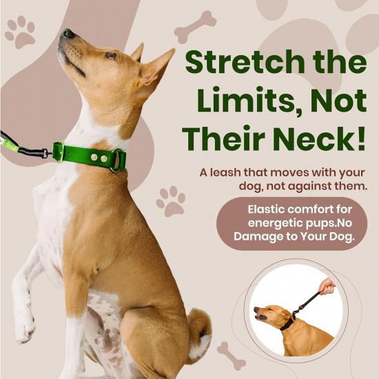 BLIVORRA-Hands-Free Dog Leash for 2 Dogs – Dual Bungee with Waist Belt, Pouch & Padded Handles – Tangle-Free, Shock Absorbing Leash for Walking,