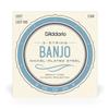 Banjo String Nickel Light 5 String EJ60 D'Addario .009-.020 []