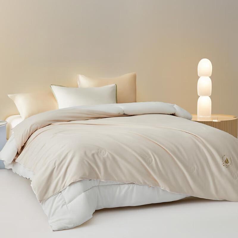 Mercury Soft Sleep Overture Antibacterial Silk Wool Blend 2-in-1 Comforter