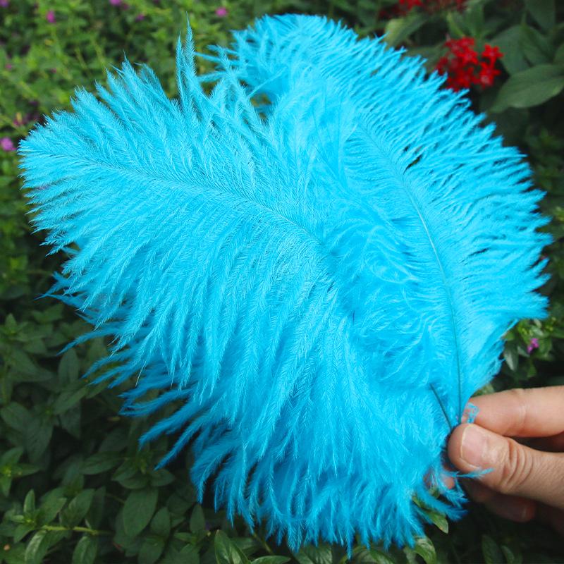 Large 15-20cm Ostrich Feathers for Wedding Arrangements and Stage Props