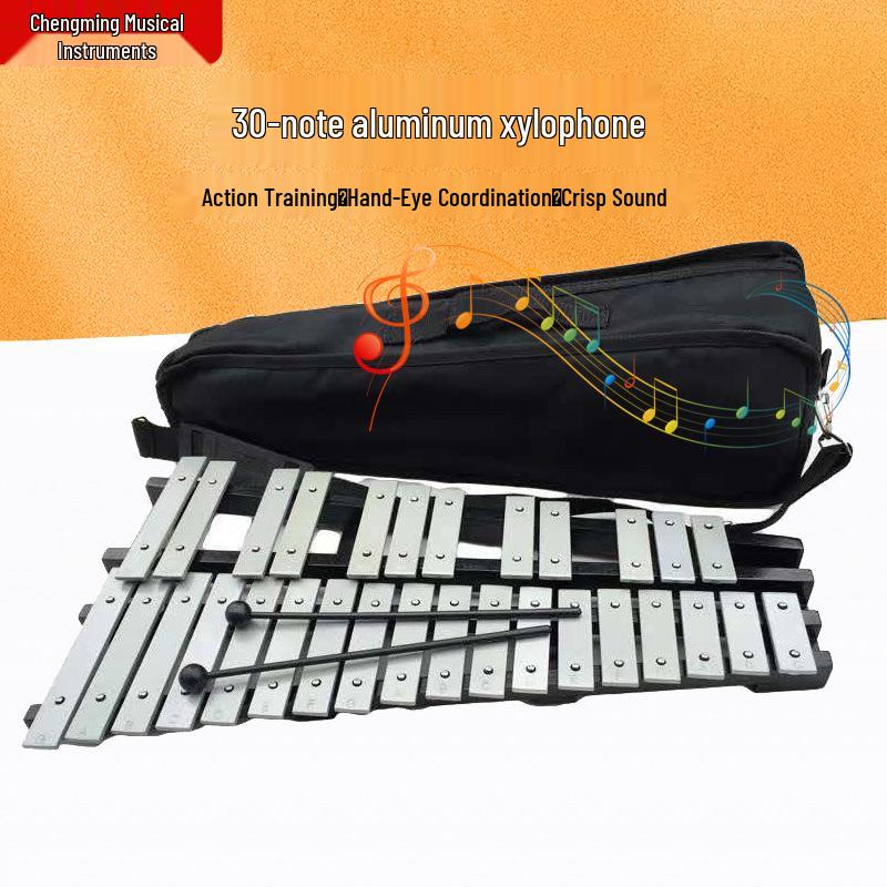 

30-Note Aluminum Xylophone for Adults & Kids - Glockenspiel Percussion Instrument, Marimba Student Teaching Aid