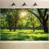 2D Flacher Hintergrund mit einem sonnigen Wald mit lebendigen grünen Bäumen Sonnenlicht. für Naturveranstaltungen, Entspannungsbereiche, Entspannungsbereiche