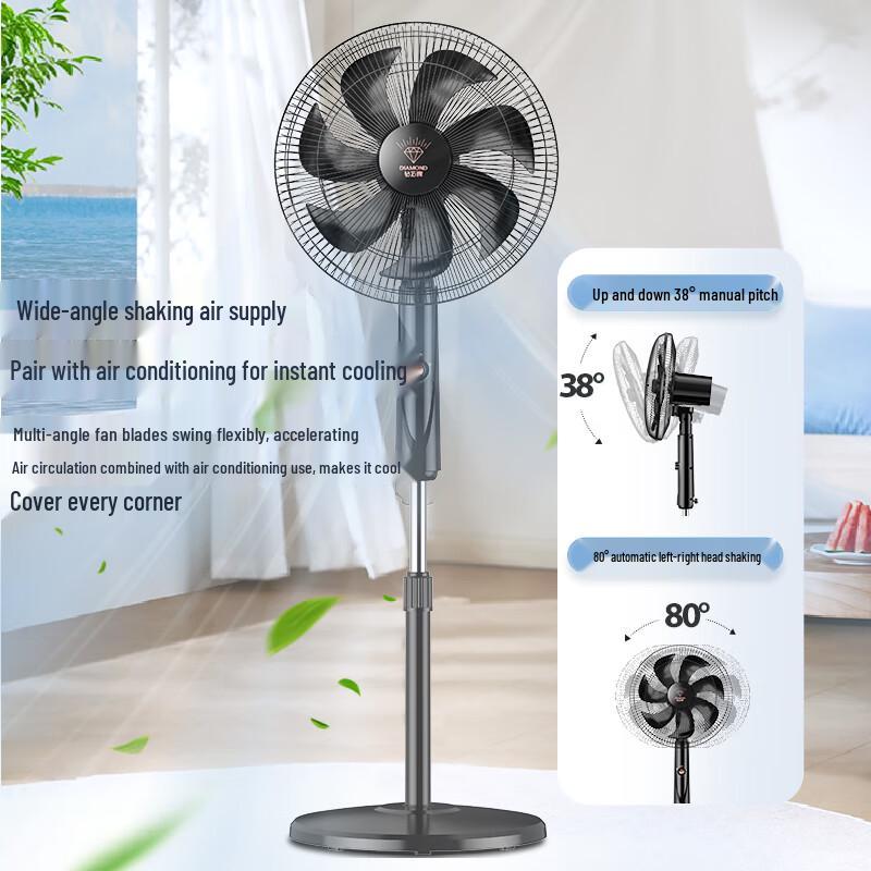 Diamond Brand DC Inverter Floor Fan CN plug (adapter included)