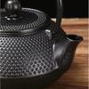 Japanese Cast Iron Tea Teapot Outdoor Kettle with Filter Boiling Water Teapot Kettle for Oolong Kung Fu Puer Tea Kitchen Teaware