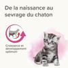 Lait Maternisé Chaton - Beaphar - Lactol - 250g - Enrichi en DHA - Aliment complet pour chatons