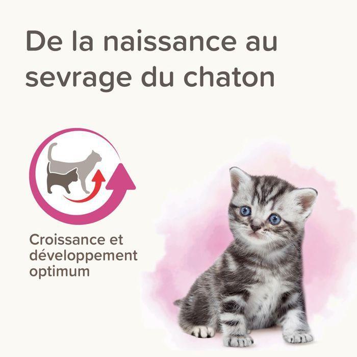Lait Maternisé Chaton - Beaphar - Lactol - 250g - Enrichi en DHA - Aliment complet pour chatons