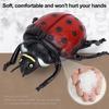 Wild Large Insects Realistic Spider Scorpion Dragonfly Beetle Models - Educational Toys For Kids Gifts For Kids Adults Children's Birthday Gift
