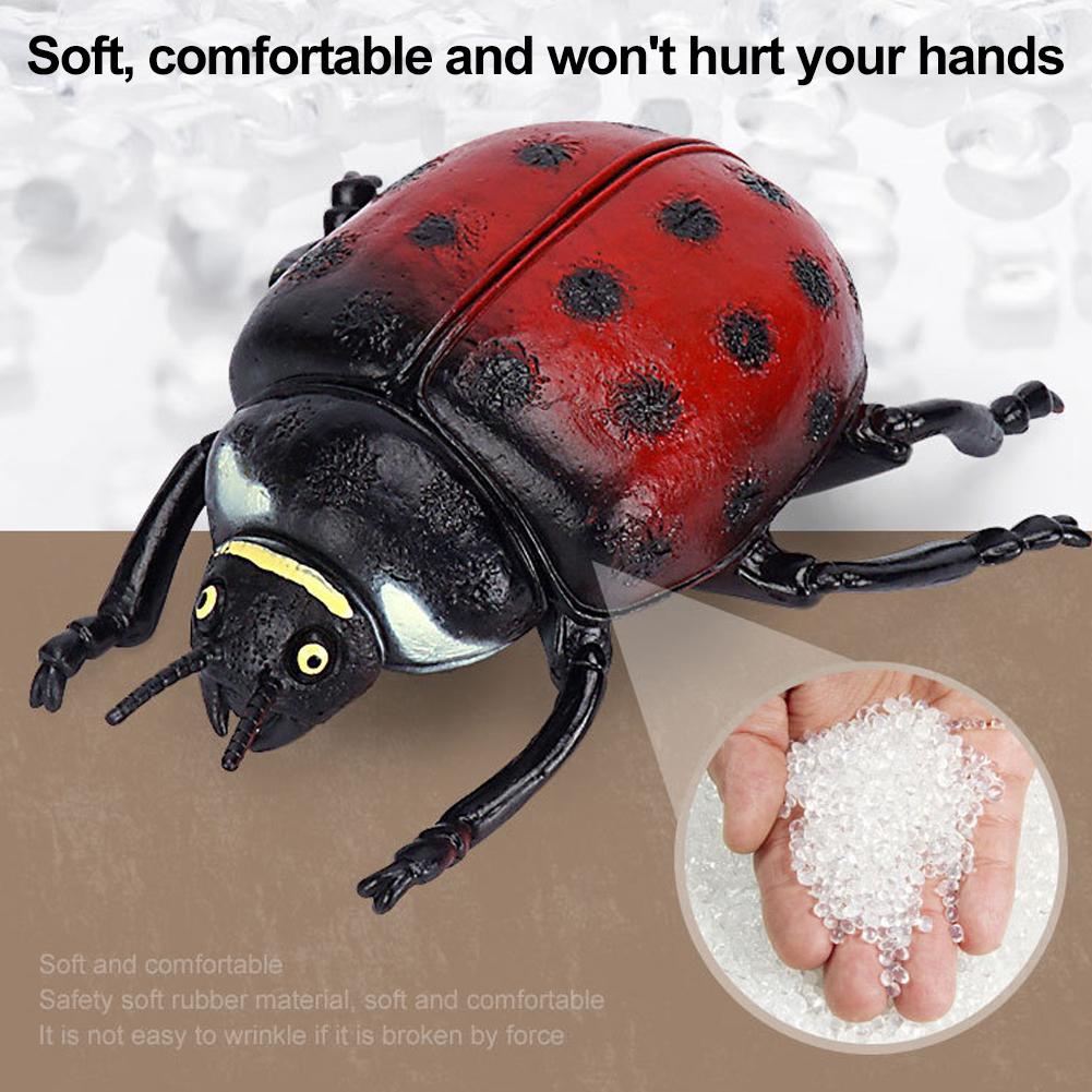 Wild Large Insects Realistic Spider Scorpion Dragonfly Beetle Models - Educational Toys For Kids Gifts For Kids Adults Children's Birthday Gift