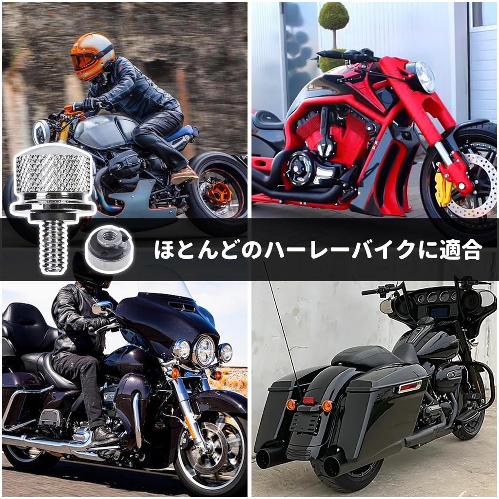 Nakrętki i śruby siedzenia błotnika Śruby Nakrętki Poduszka Śruby i nakrętki mocujące Akcesoria nakrętek siedzenia lokomotywy Pasuje do mocowań 1/4" Harley, Srebrny