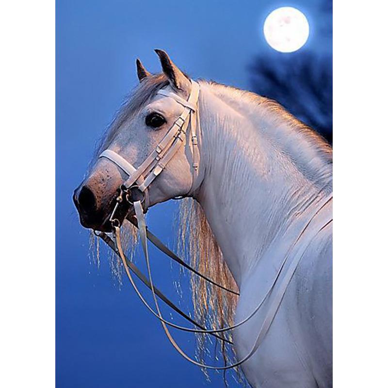 DIY Horse 5D diamantová malba Celokulatý vrták Zvíře Diamantové vyšívání Křížkový steh Soupravy mozaiky Pryskyřice Nástěnné umění Domácí dekorace