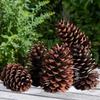 Decorațiuni pentru casă – Flori decorative şi coroane de flori
