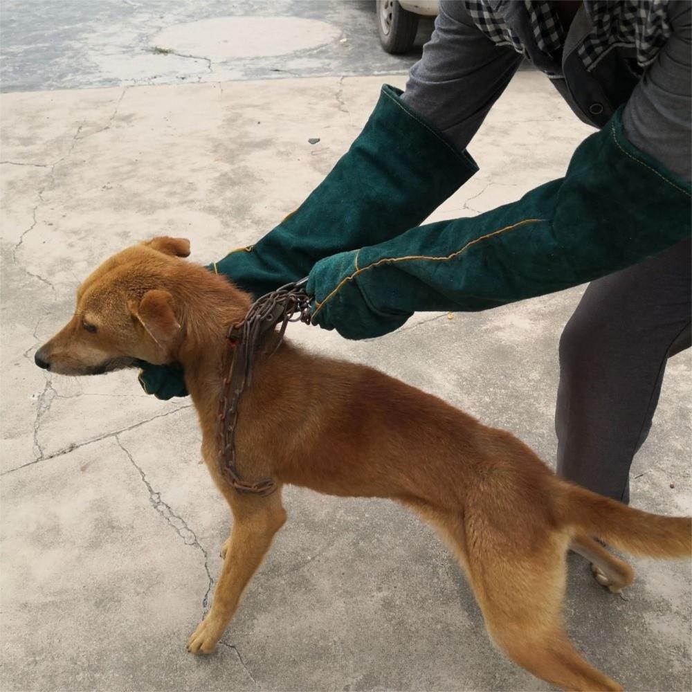 A Pair Thickening Grasping Pet Anti-bite Gloves Durable Safety Bite Gloves  Handling Dogs