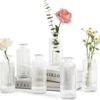 Colored Transparent Glass Bud Vase Retro Hydroponic Flower Planter Vase Centerpieces Wedding Party Decor Home Table Decorations