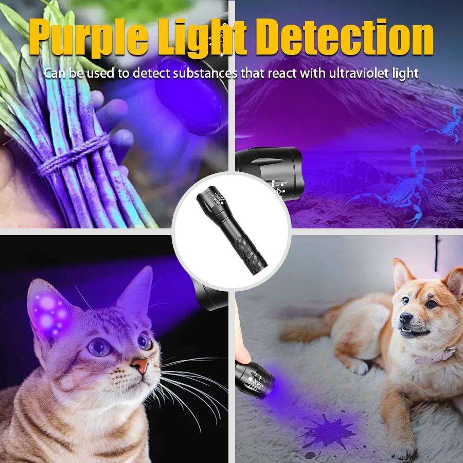2 In 1 LED UV Flashlight Purple White Dual Light USB Rechargeable Zoomable Torch with Built In Battery Scorpion Hunting Lantern