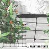 String Trellis Garden Trellis Net Elastic Wire Grid With 4 Hooks For Vegetable Cucumber Tomato Pea Bean Grape Flower