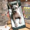 Sphynx Sphinx Cat Case For Xiaomi 15 Ultra 13 14 11T 12T 13T 14T Pro POCO X7 X3 X5 X6 Pro M6 F5 F6 Pro Cover