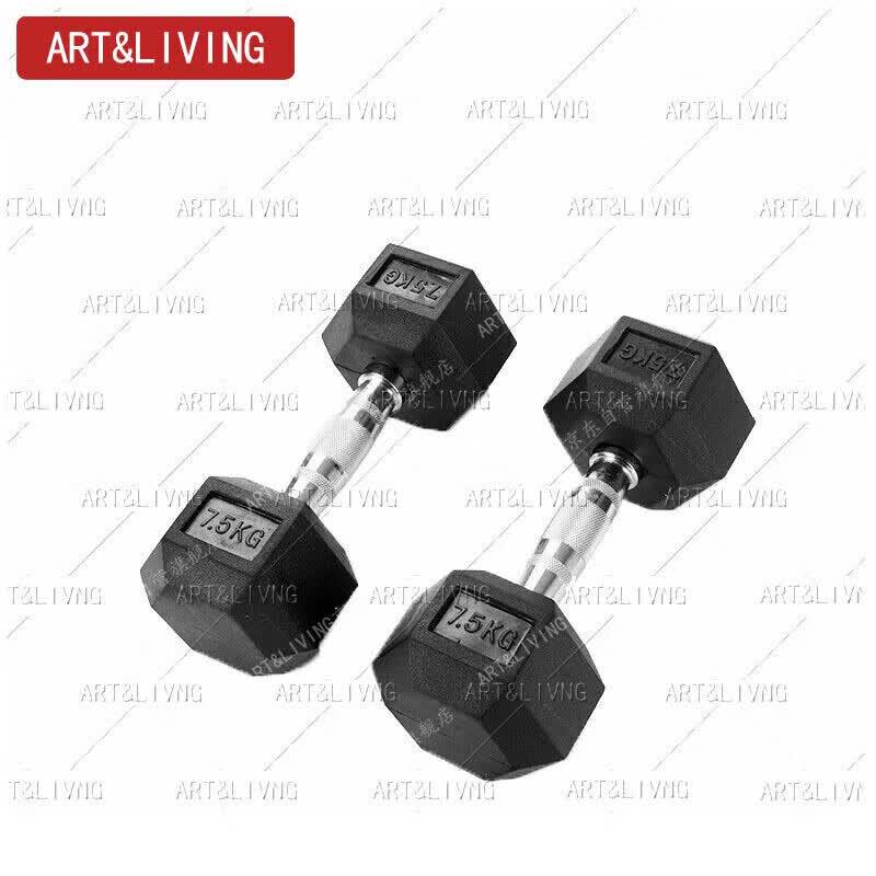 ART&LIVING Hexagonal Rubber-Coated Cast Iron Dumbbell