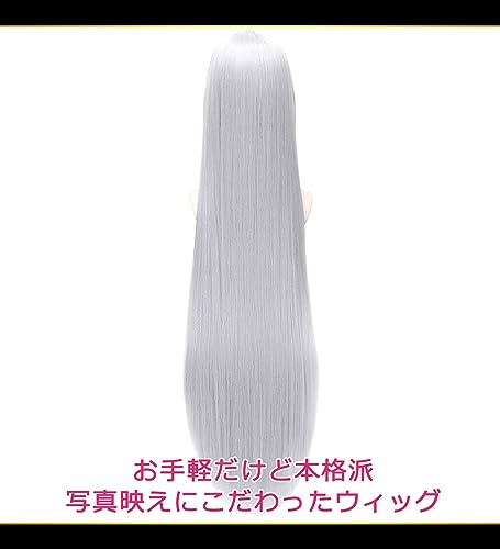 CaseEden Cosplay Wig, Premium, Smooth, Straight, Long, 100cm, Silver, 6043