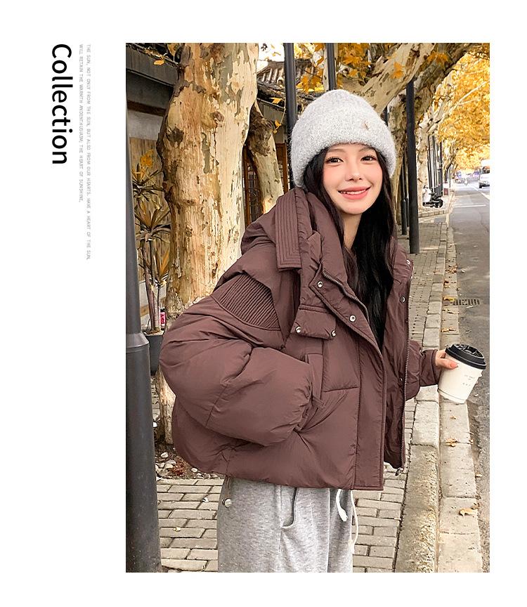 Dames Kort Hette Vindtett Tykk Varm Vinterjakke