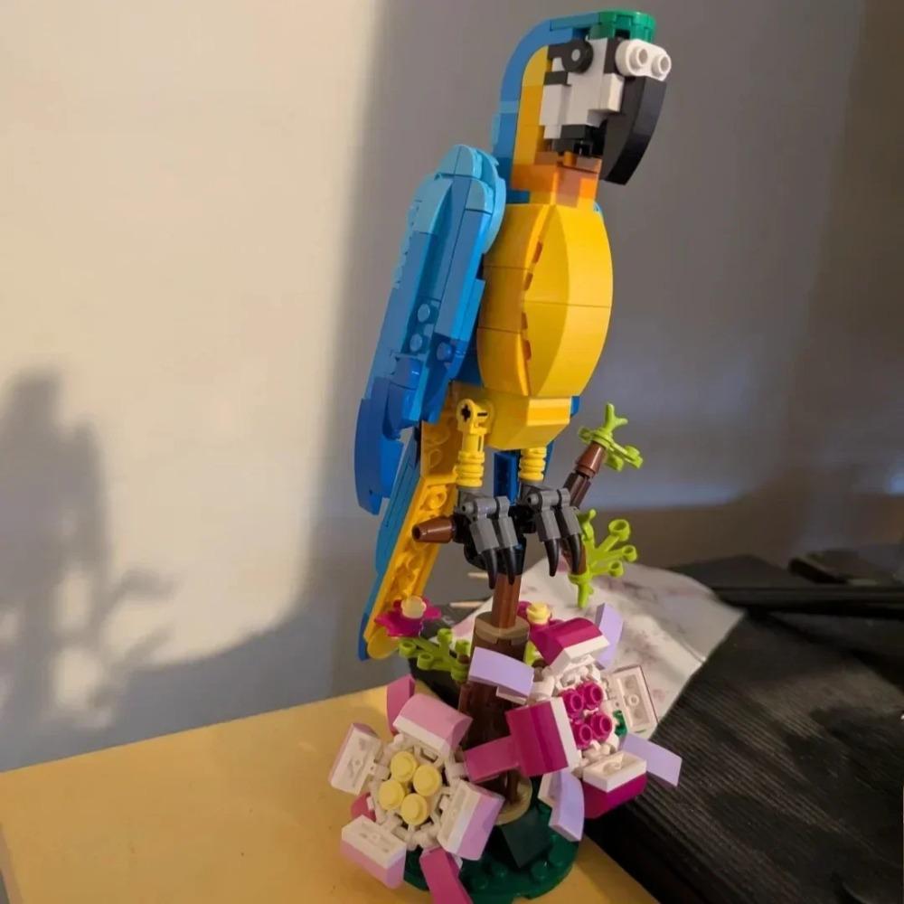 Simulation animal building block model, 3 in 1 exotic parrot building toy set, can be transformed into 3 different animal figure