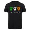 Retro Ireland Flag Irish T Shirt Cool Design Irish Lucky Shamrock St Patricks Day Tshirt Cotton Streetwear Tops HJ137