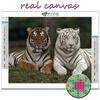 DIY 5D Diamond Painting Animal Tiger Cross Stitch Kit Full Drill Embroidery Mosaic Art Picture of Rhinestones Gift