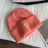 White plum color embroidery P letter knitted wool hat autumn and winter warm cold hat with ins fashion single item multi-color